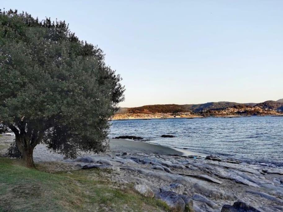 Apartamento Con Jardin Y Piscina Temporada Verano Privados Samieira Exteriör bild