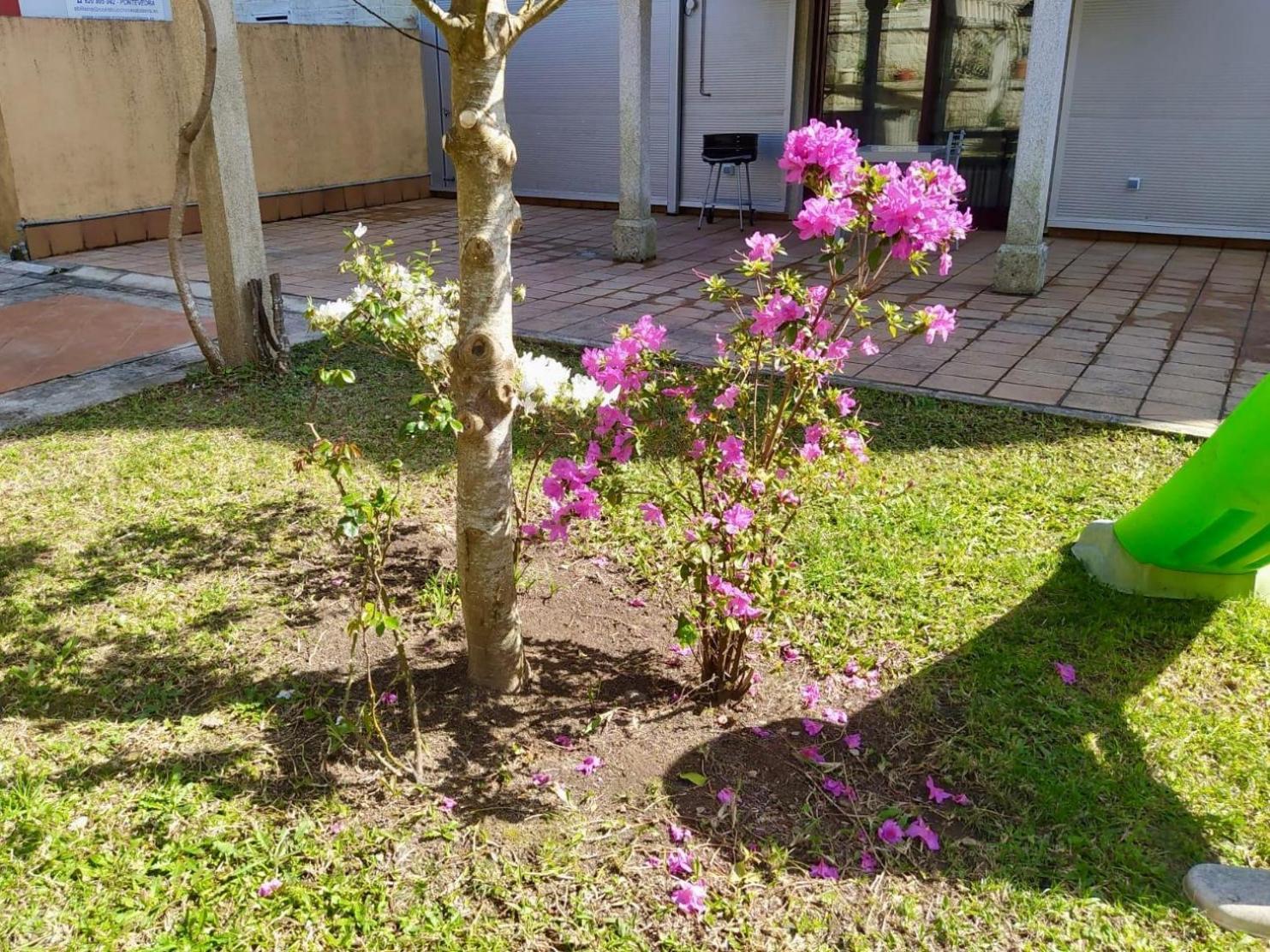 Apartamento Con Jardin Y Piscina Temporada Verano Privados Samieira Exteriör bild