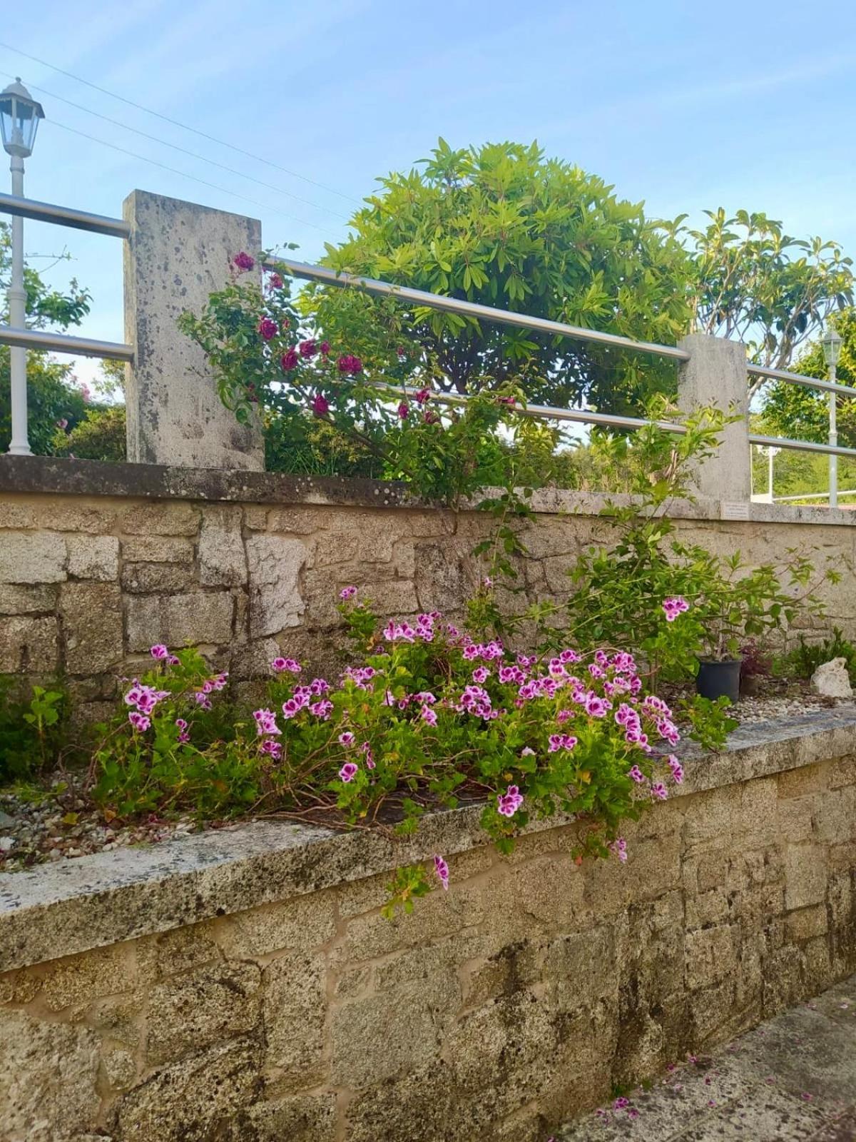 Apartamento Con Jardin Y Piscina Temporada Verano Privados Samieira Exteriör bild